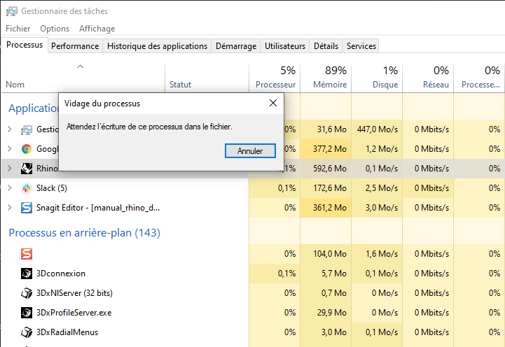 manual_rhino_dmp_windows4.png