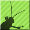 gh_squarebanner.jpg
