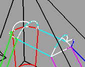 step_5.jpg